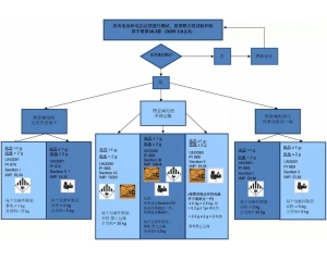 鋰電池分類規(guī)則及運(yùn)輸要求匯總